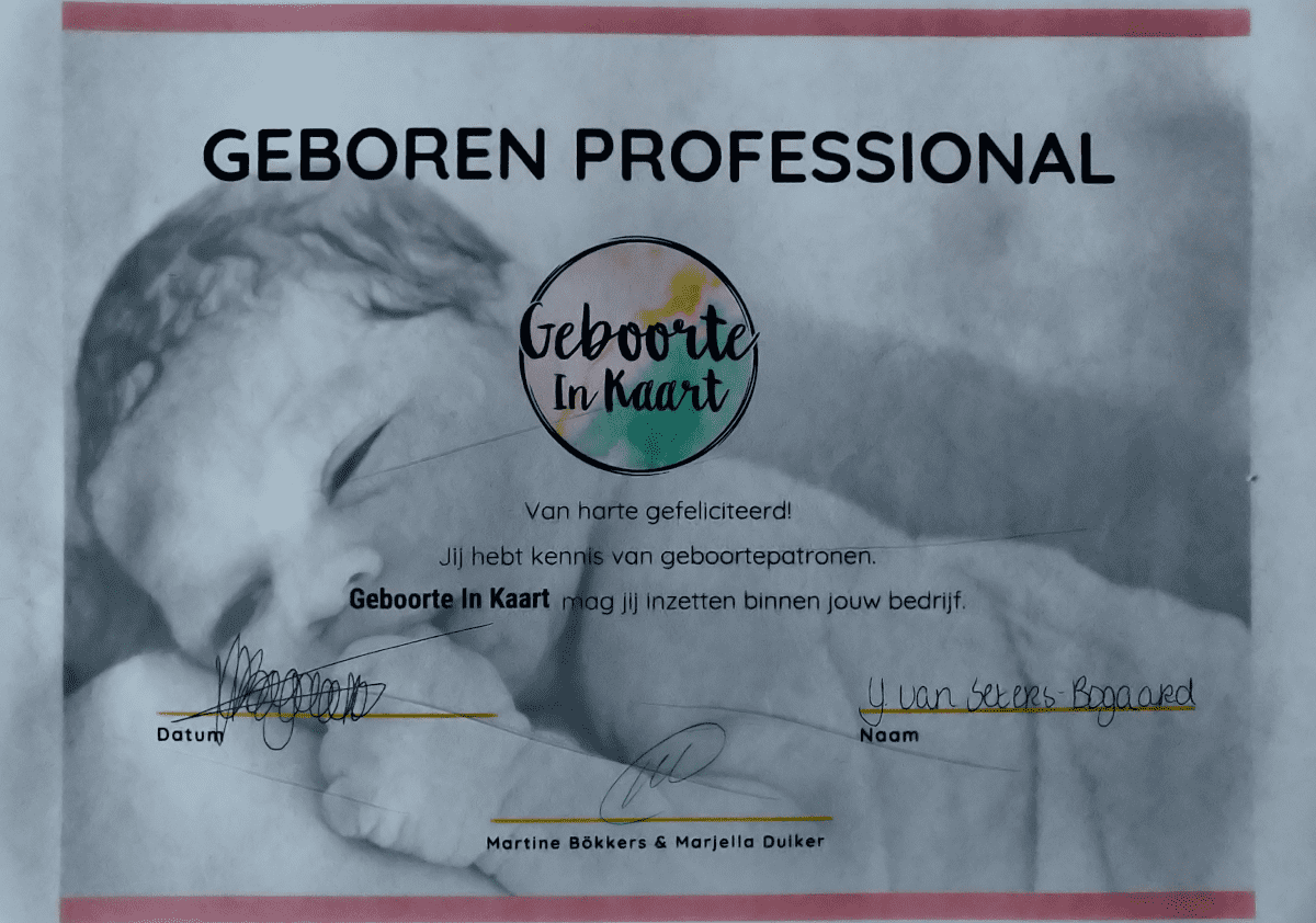 Diploma - Geboorte in Kaart
